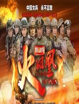 特种兵之火凤凰 DVD版国语