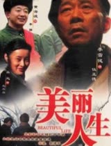 美丽人生[2008]--电视剧