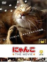 猫咪物语1